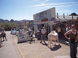 Side Trip to Oatman